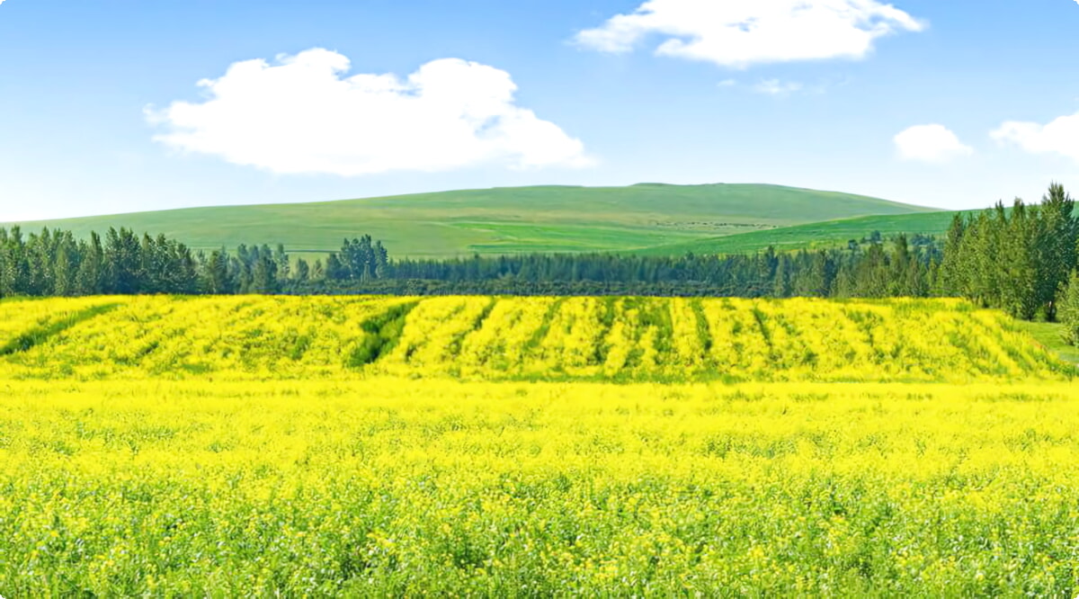 Principais opções de aluguel de carros em Chengde